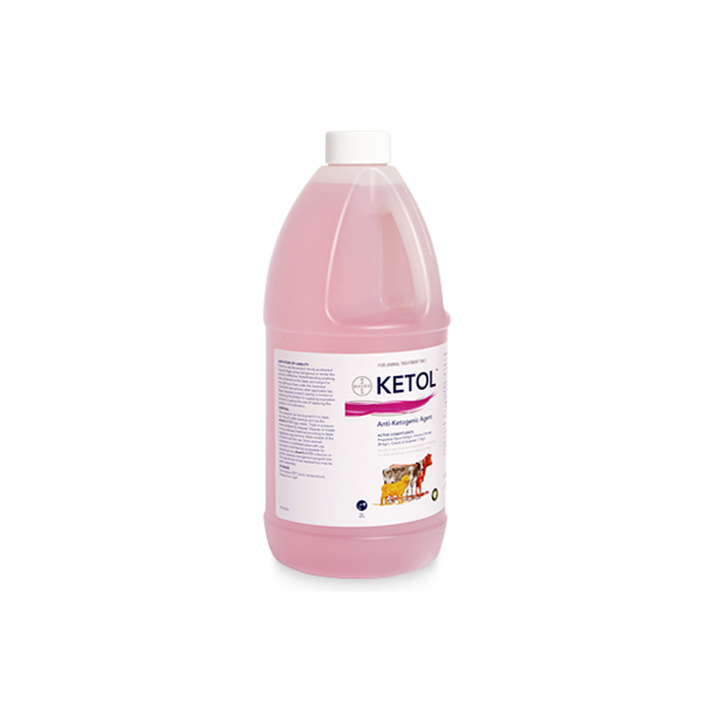 Ketol Anti-Ketogenic Agent 2L - Vetwell Online Shop